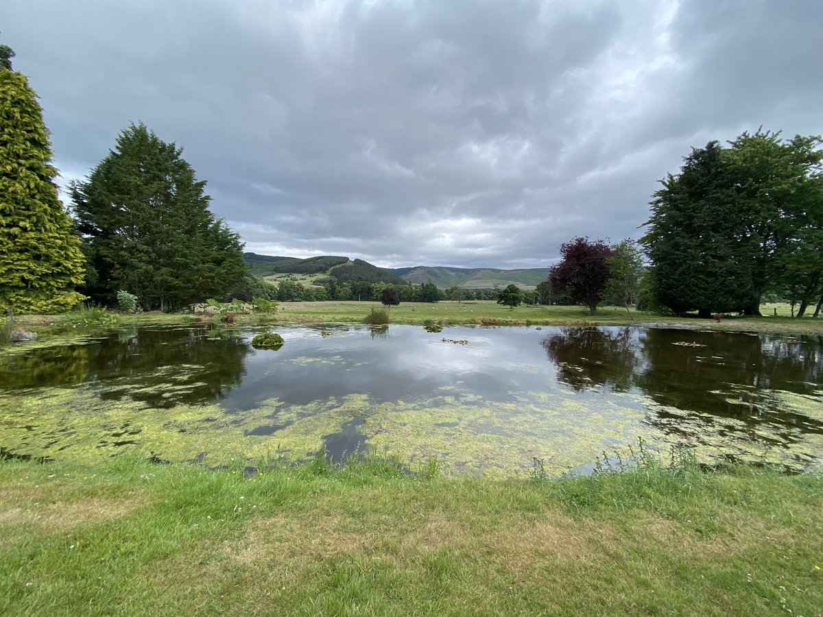 JudithDenwood's tweet image. We’ve moved into a bit of, welcome, cooler &amp;amp; rainy weather here in the Scottish Borders 😁. Here’s a reminder of last week ❤️ #Scotland #Alwaysbeautiful #wednesdaythought