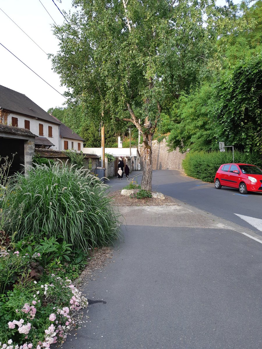 Ce matin en allant au boulot j'ai croisé une vingtaine de musulmans rigoristes en tenue traditionnelle, dont des petites filles voilées.
Il y'a très peu de musulmans dans ma ville donc ce n'est pas normal, je ne sais pas pourquoi ils sont là mais ça m'inquiète.