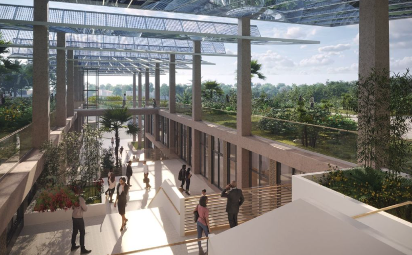 Gortemaker Algra Feenstra tweet media