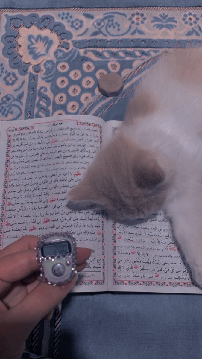 ربِّ تقبل قليلي..
قد جاءك الناسُ بأعمالٍ كالجبال و جئتكَ بحفنةٍ فيها رُوحي.

#تقبل_الله_طاعاتكم 
#يوم_عرفة_2023 
#اللهم_صل_على_محمد_وآل_محمد