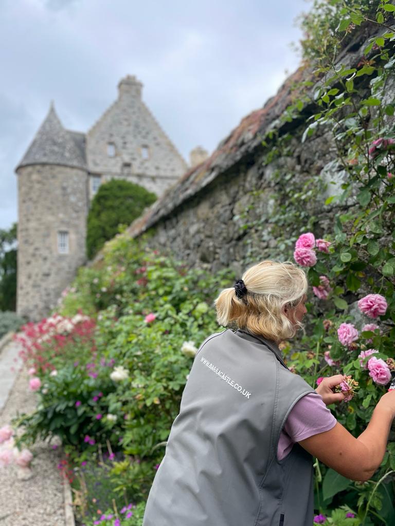 Always bee yourself, just do your own sting.. There's quite a buzz in the Barra gardens this week.  The flowers are in full bloom thanks to our striped friends. 🐝💛 #beesknees  #beefriendly