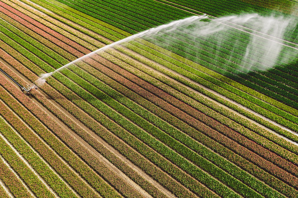 📢Yesterday, new requirements for a safe, transparent and accessible reuse of treated #wastewater in agricultural irrigation become the norm across most of the #EU 👉Find out more info: buff.ly/3PsZRpg #CleanWaterEU #waterreuse #agriculture