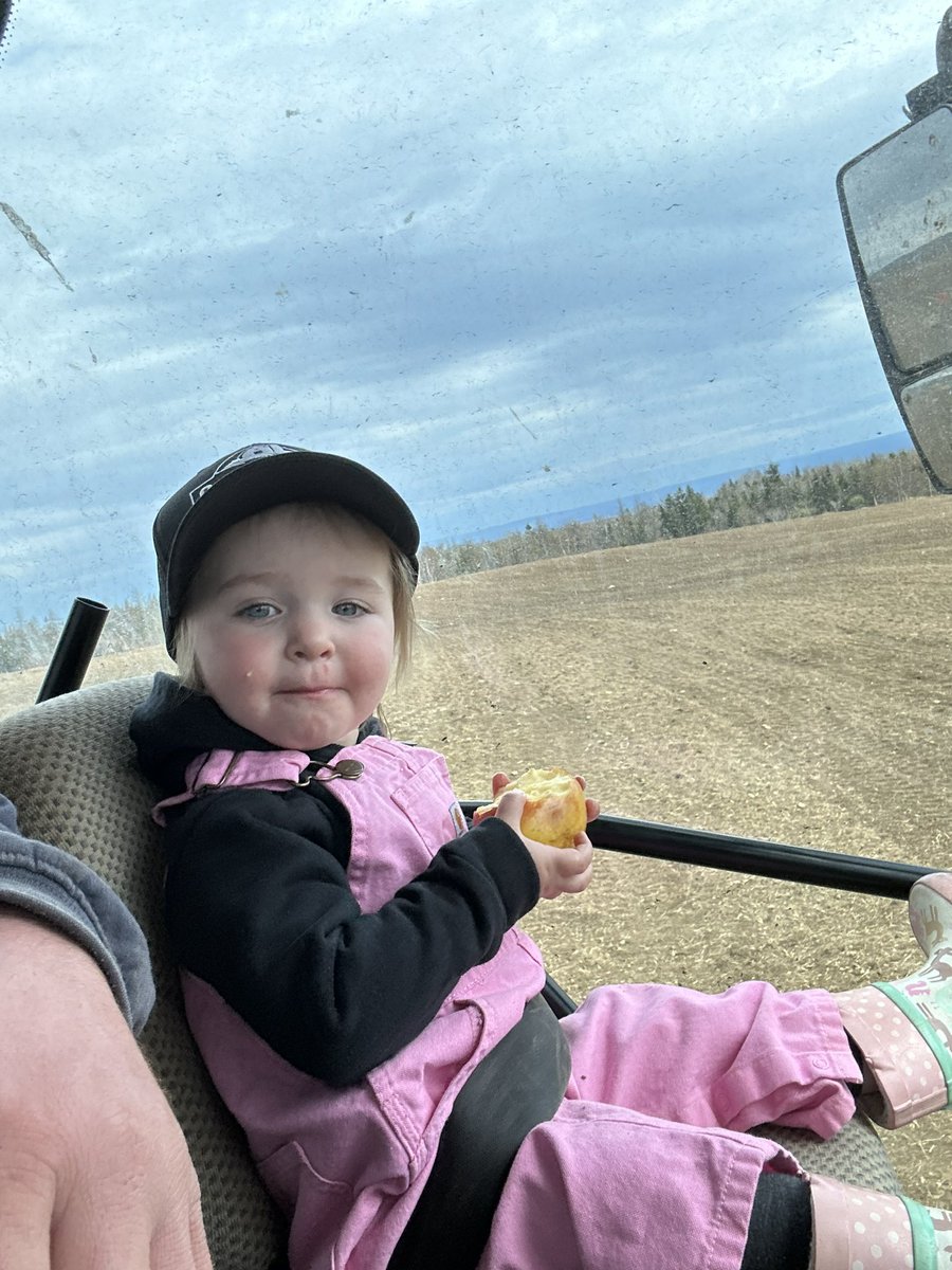 #DEKALBLittleHelper <a href="/DEKALB_Canada/">DEKALB Canada</a>  kids love helping build our new barn and getting the fields ready.