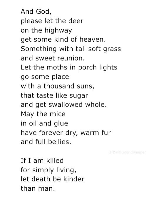 mark__tyrone's tweet image. )-: