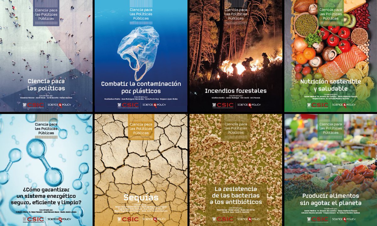 CSICval's tweet image. A las 11 sigue la presentación de los informes &apos;Ciencia para las Políticas Públicas&apos; del @CSIC

- Consenso científico sobre un reto social
- Investigación del CSIC sobre ese reto
- Recomendaciones para elaboración de políticas públicas

#ScienceForPolicy

youtube.com/live/cStP6NDER…