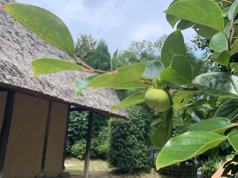 川崎市立日本民家園 on Twitter 