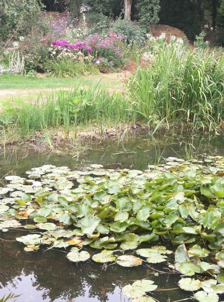 NGS Suffolk tweet media