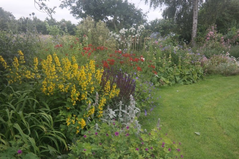 NGS Suffolk tweet media