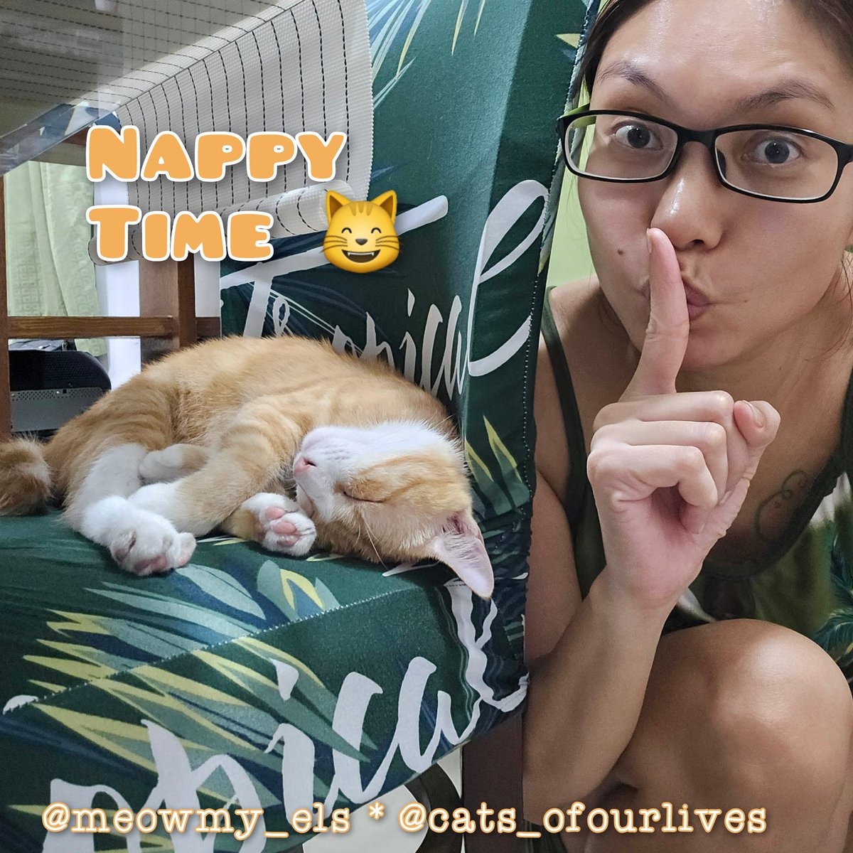 ElsbethLSE's tweet image. Ssshhh... Huwag kayong maingay, may tulog. 😝😝😝

#NappyTime #SleepyCats #GingerCats #CuteCats #CatsOfOurLives #CatMommaLife