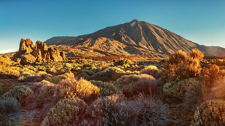 En esta página hemos recogido todas las actividades GRATUITAS que puedes hacer en Tenerife, agrupadas por municipios:
👉 tenerifelicidad.net/es/tenerife/fr…
¿Ya has hecho alguna?

#Freetours #excursiones #gratis