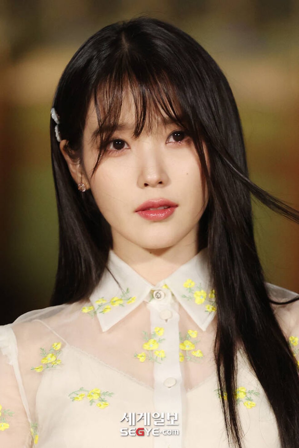 Iu Bangs 2022