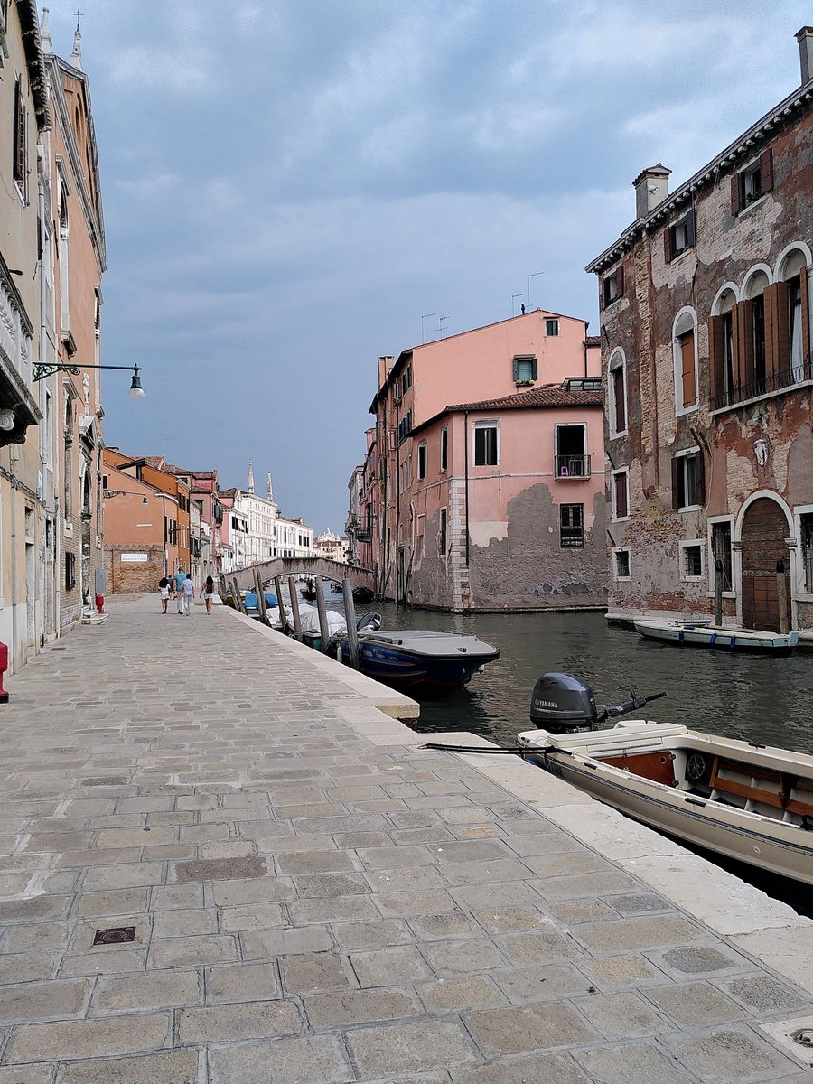 Paulina Ramirez-Monsalve tweet media