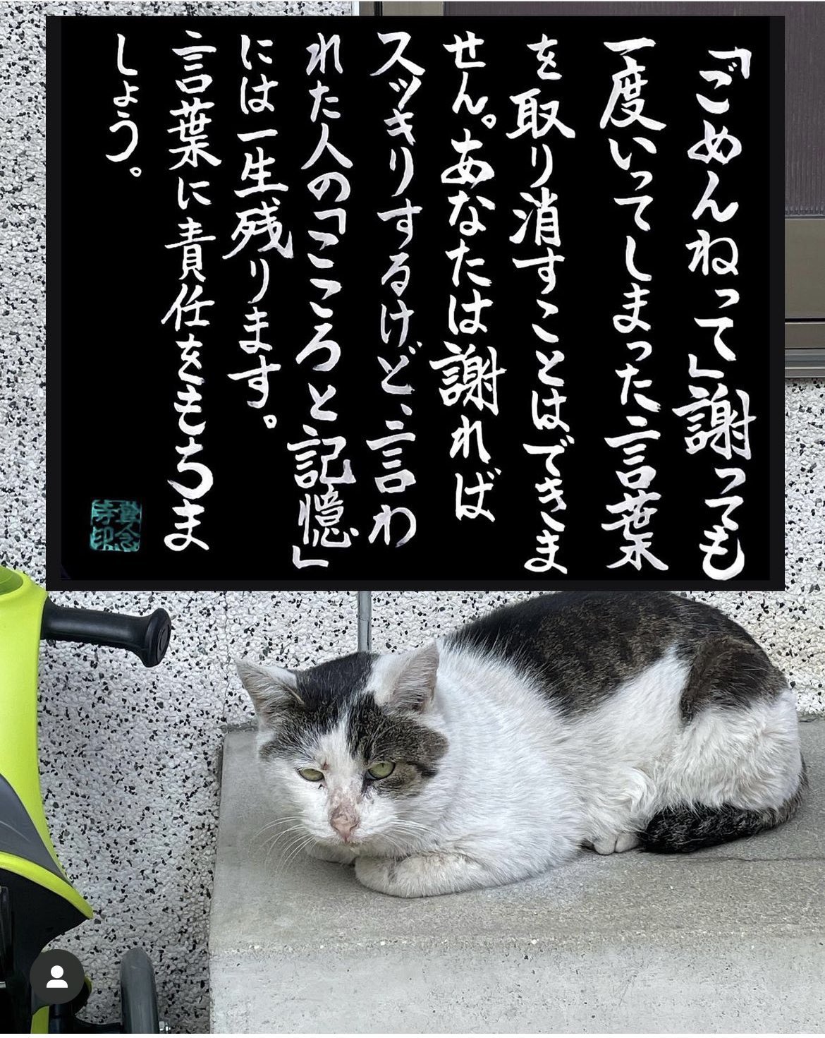 猫の名はさん専用 猫渕さん – MIJ FACTORY HARAJUKU