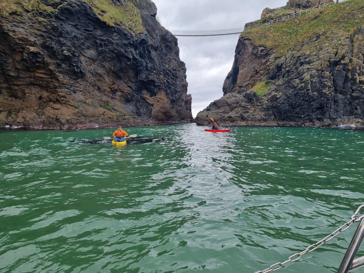 KayakingCoast's tweet photo. Did you see the new series of @hiddenni @utv 😍🐬❤️
With @KayakingCoast https://t.co/R9RcBH9Bp9
