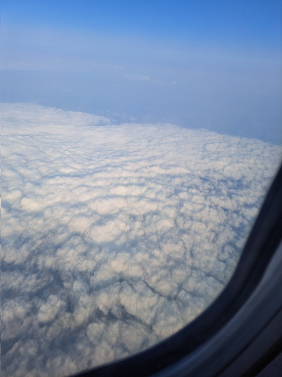 HOLIDAY....WINE... 🏊‍♀️🏄‍♀️💃🍹