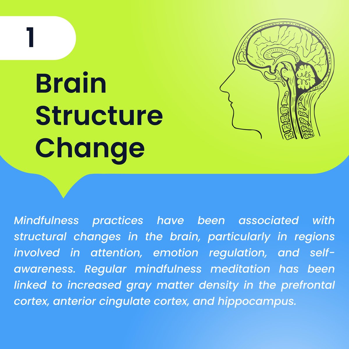 serenitymindspc's tweet image. "Unlocking the Power Within : Exploring the Neuroscience Behind Mindfulness and become more Awaken inside you"
.
.
.
#neuroscience #mindfulness #brainstructurechanges #defaultmodenetwork #dmn #attention #focus #meditation #neuroimaging #neuroimagingtechniques #emotionregulation