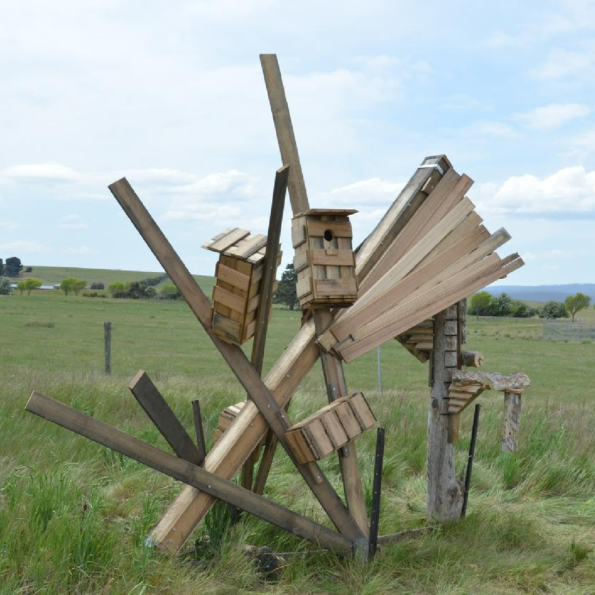 Since 2016 Architecture and Design students have been creating weird and wonderful sculptures that form our species hotels. Made from salvaged wood, they provide habitat for small wildlife, a @GreeningAust initiative. Thanks to <a href="/ausgeo/">Australian Geographic</a> for the write-up: utas.au/4S