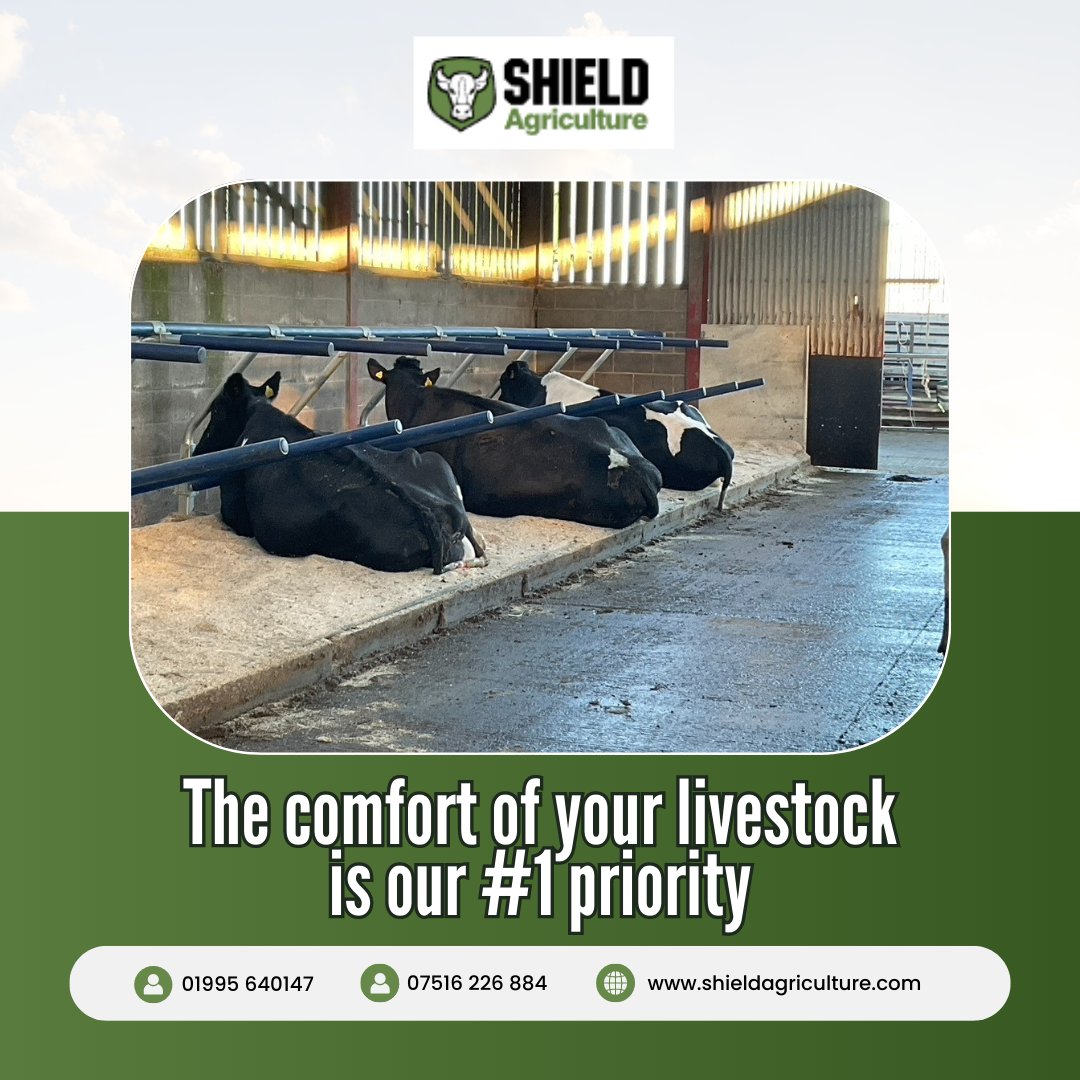 Shield_Agri's tweet photo. You wouldn't want to sleep on a dirty old mattress and neither do your cows. Here at Shield Agriculture we take comfort very seriously. We aim to provide the optimum levels of comfort for your livestock and your farm. 
 
Head over to - https://t.co/b6rcaaDQr5  to find out more! https://t.co/ZHLaP9UBbu