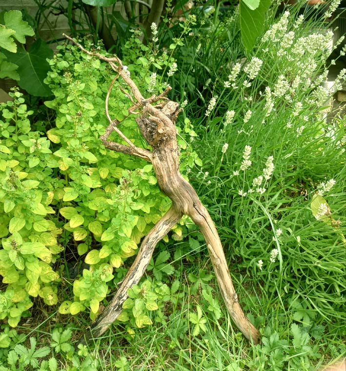 Gabby Grant tweet media