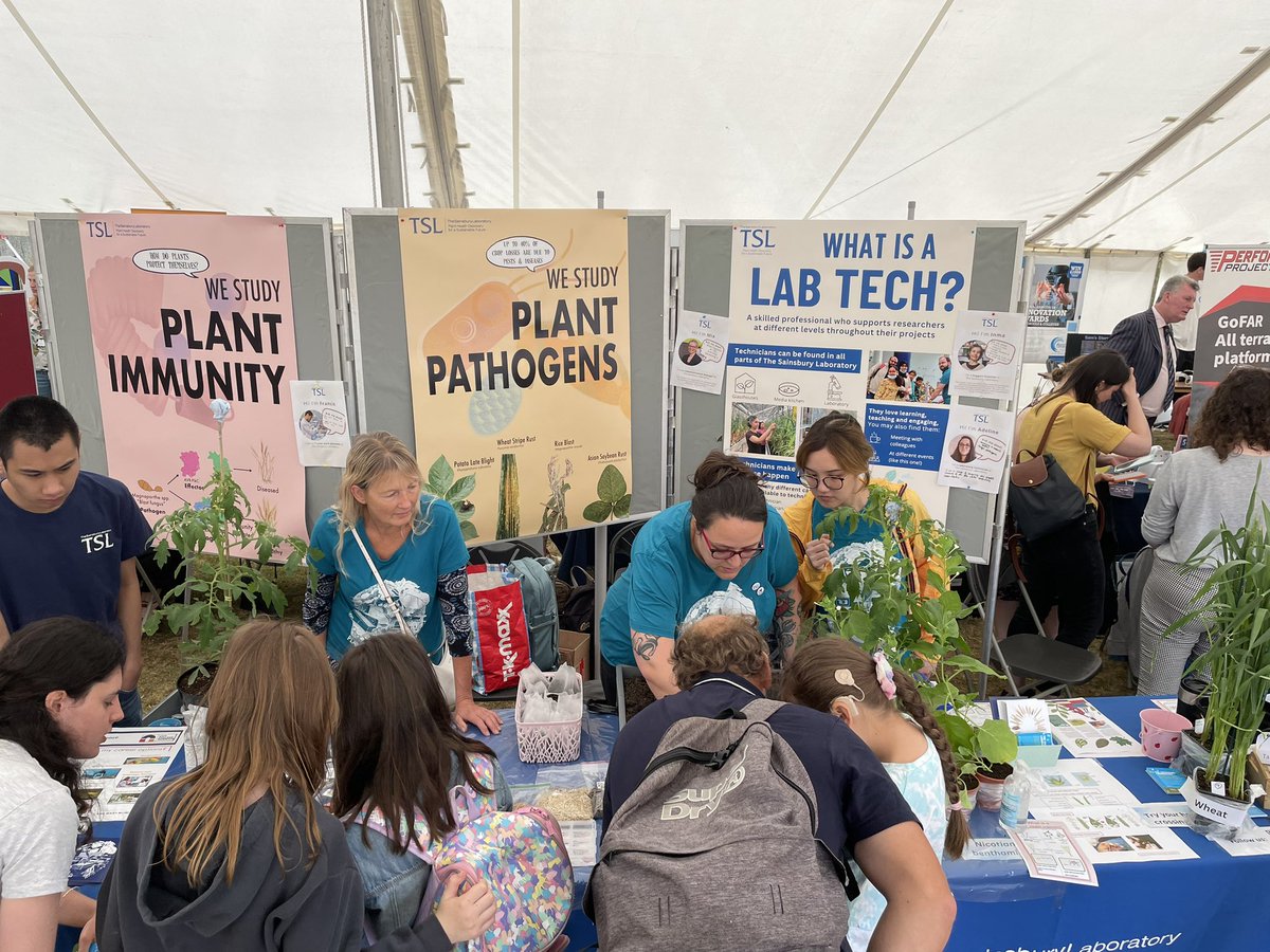 TSL technicians sharing the joys of working with plants with <a href="/norfolkshow/">Royal Norfolk Show</a> #STEMMVillage visitors! Come find us in the big tent and plant your own Nicotiana seed 🌱