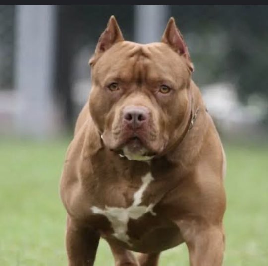 After sleeping sleeping with multiple partners enjoying life to the fullest.. 

Women.                                                    Men