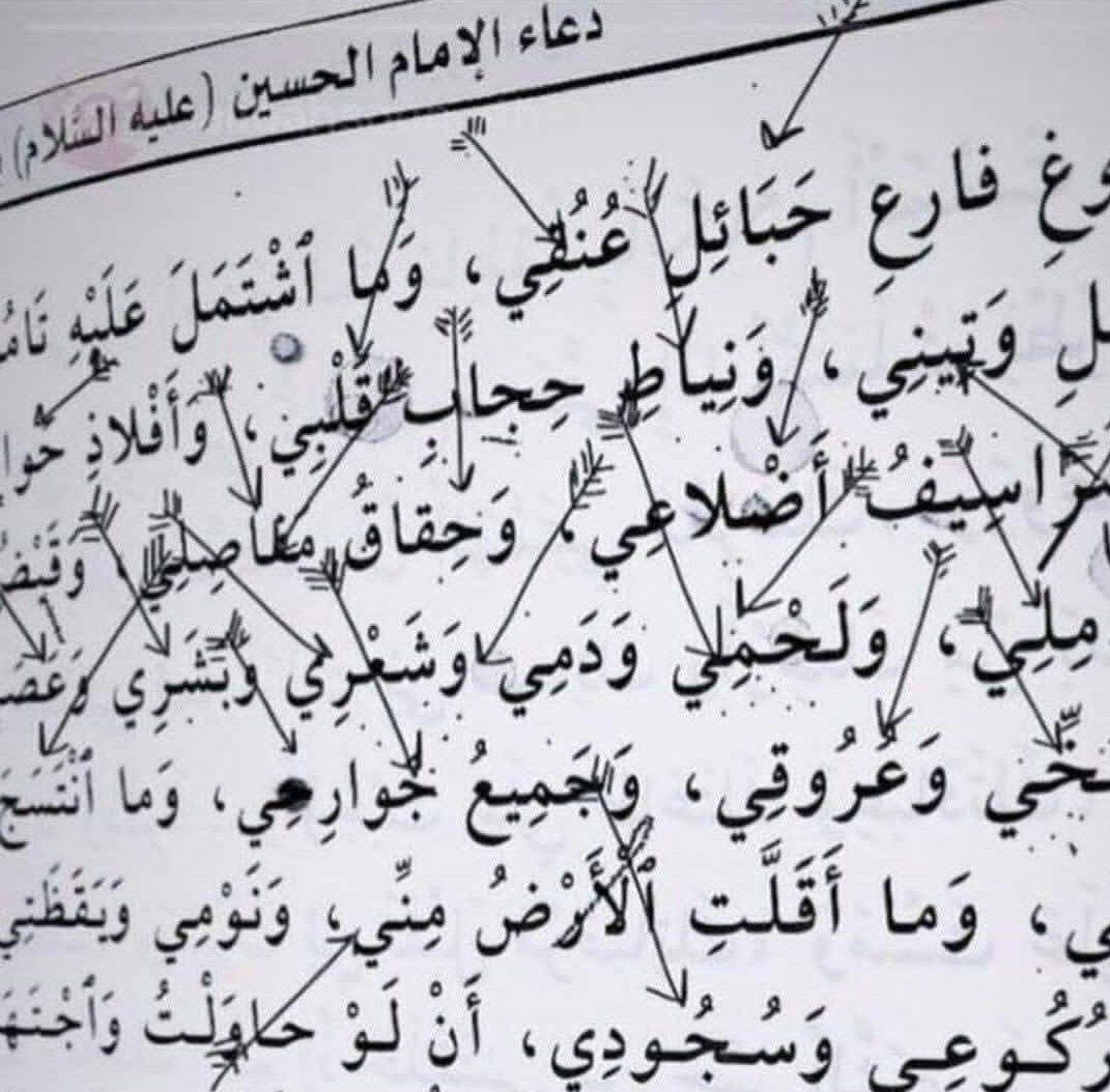 كُلُّ نِعمةٍ ذَكرَها الإمامُ الحُسيّنِ "عَليّهِ السّلام" يوم عَرفة ضَحى بِها يومَ عاشوراء