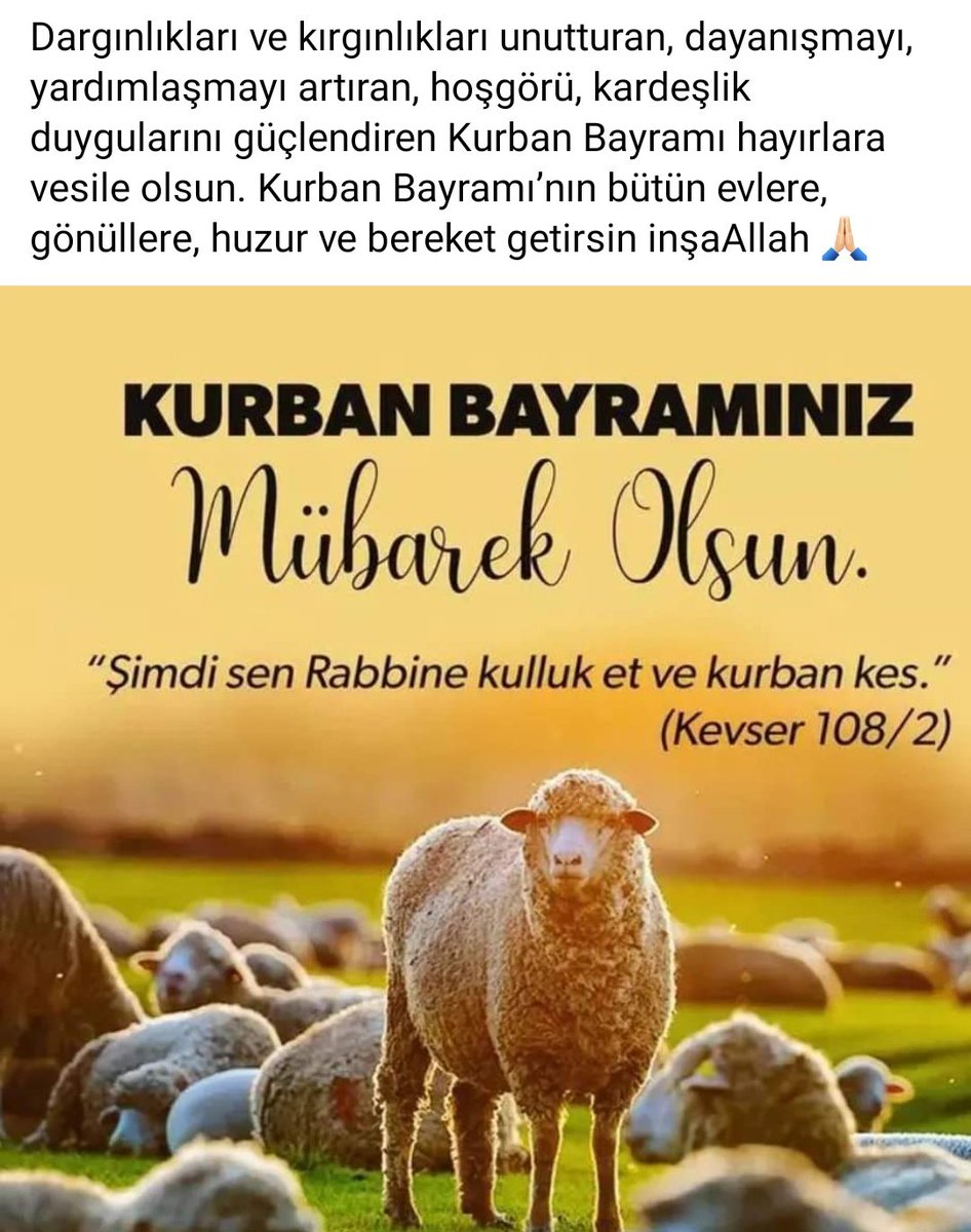 SakatlarSubesi's tweet photo. #Kurbanbayramı https://t.co/c7gTfdR7pR
