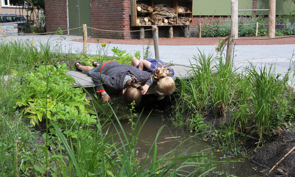 Scholen in versteende wijken opgelet! Vraag vanaf 15 juli t/m 1 oktober subsidie aan voor de vergroening van jouw schoolplein. 🌿🌳De provincie opent een nieuwe ronde van de subsidieregeling Groene gezonde schoolpleinen. Lees meer: bit.ly/3Nvq9o9