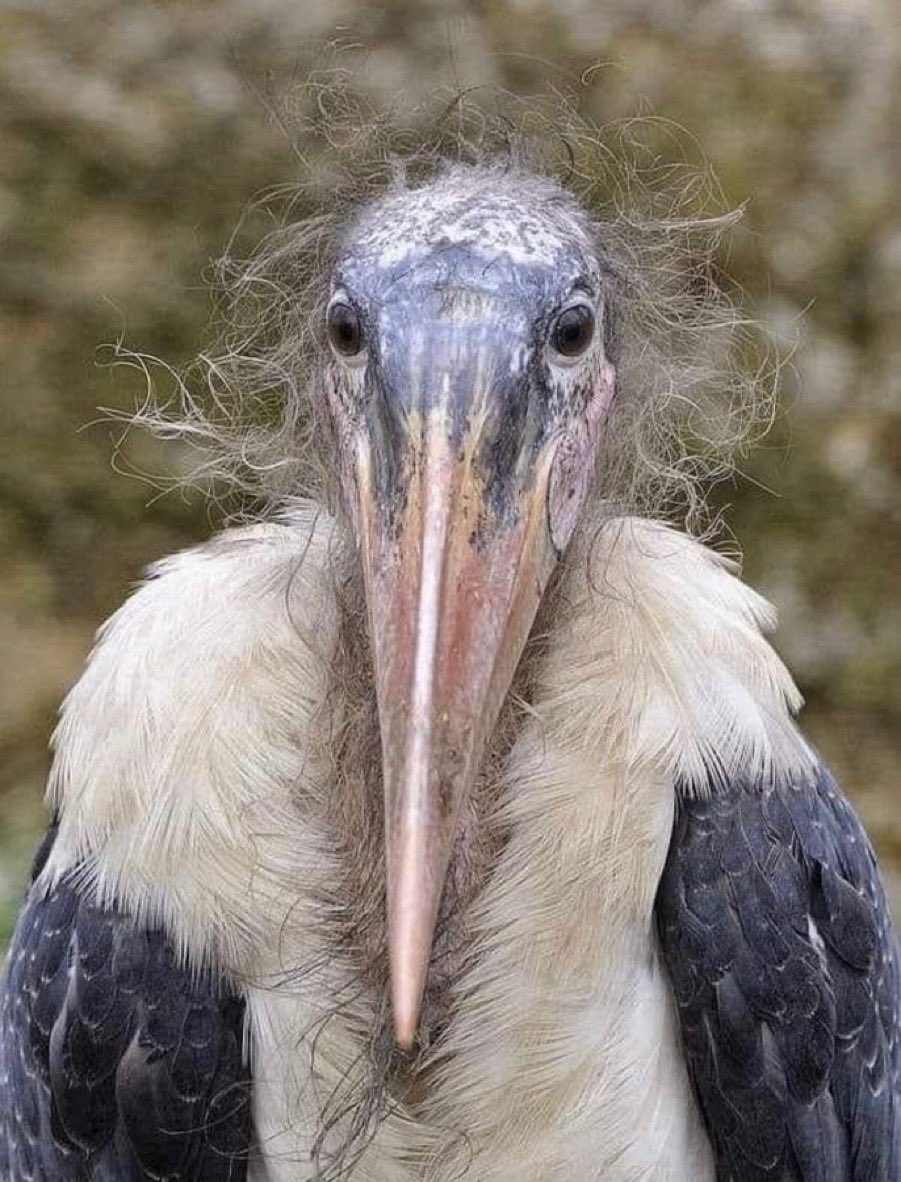 الوضع الان 😂😂😂