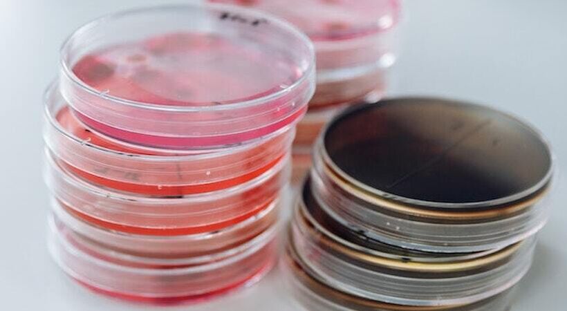 Cleaning&Maintenance tweet media