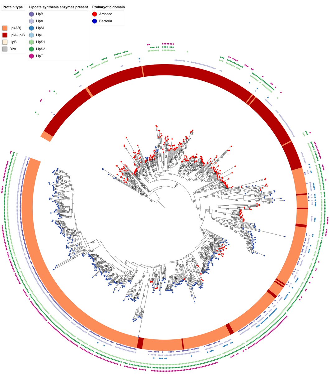 PLOS Biology tweet media
