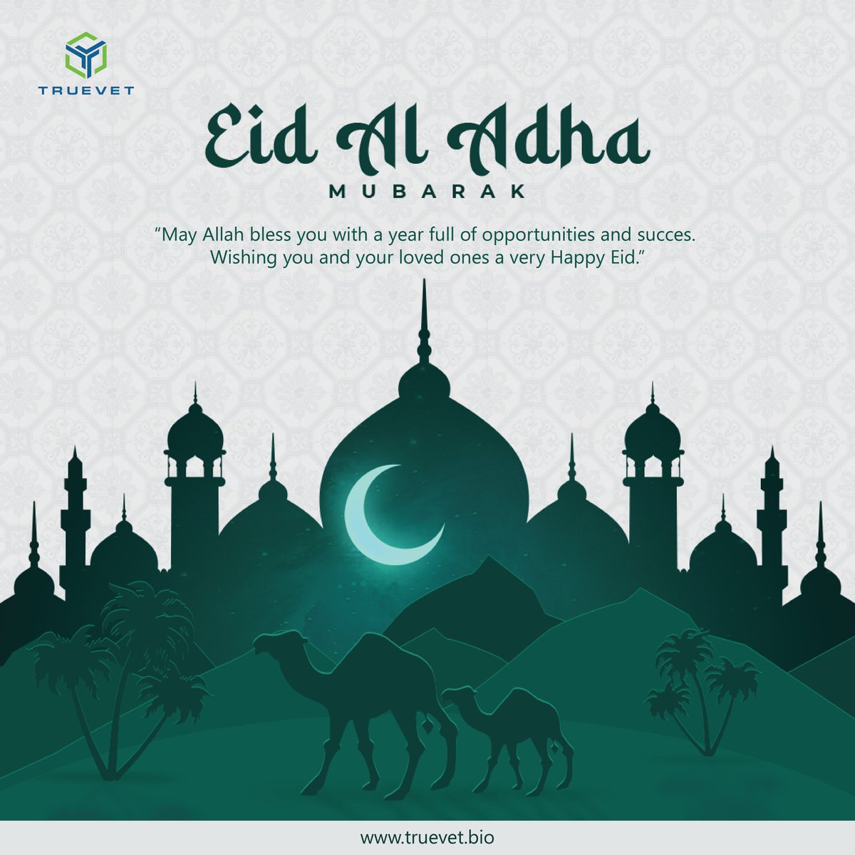 TruevetAN's tweet photo. May Allah accept our sacrifices and let us not forget the needy ones during this Eid, Ameen! 
Eid Mubarak!
#Eid2023 https://t.co/hiByLffit5