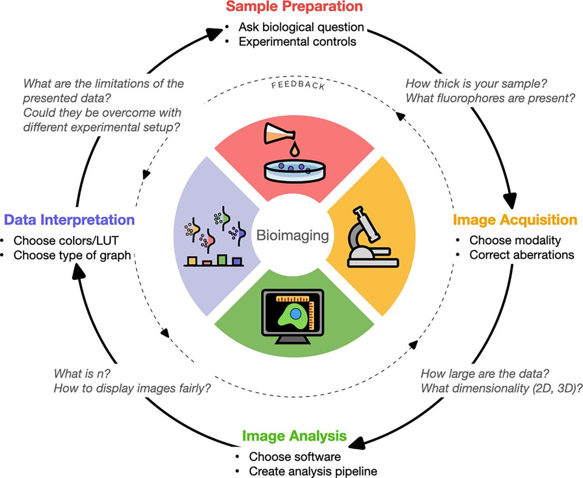 PLOS Biology (@plosbiology) on Twitter photo Looking to use quantitative bioimaging in your experiments? Our new Essay from <a href="/CiminiLab/">Beth Cimini Lab 🔬💻 📊</a> &co provides a navigational guide for biologists new to quantitative bioimaging, with recommendations and pointers to open source resources. #microscopy #PLOSBiology
plos.io/3JCd3Et Looking to use quantitative bioimaging in your experiments? Our new Essay from <a href="/CiminiLab/">Beth Cimini Lab 🔬💻 📊</a> &co provides a navigational guide for biologists new to quantitative bioimaging, with recommendations and pointers to open source resources. #microscopy #PLOSBiology
plos.io/3JCd3Et