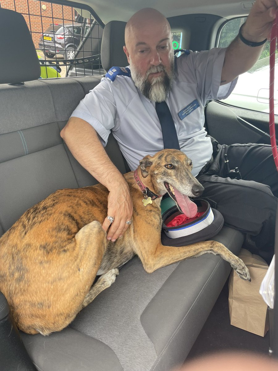 Assisted colleagues whilst on patrols. We came across a dog wandering in the park, we swiftly reunited her with the very worried owner.