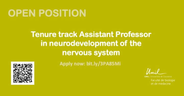 A tenure track assistant #professorship is available at the DNF in the field of #neurodevelopment of the nervous system! Join our prestigious research teams and don't miss this opportunity ! Apply now: bit.ly/3PA85Mi, deadline 27.08.2023 #job #JobOffer #AcademicCareer'