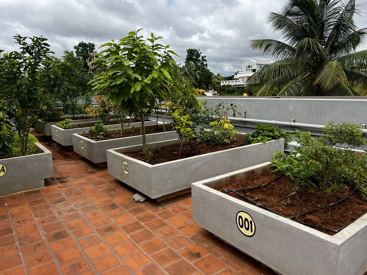 Nice. Terrace in Mysuru apartment has these designated ‘plots’ per flat for plants