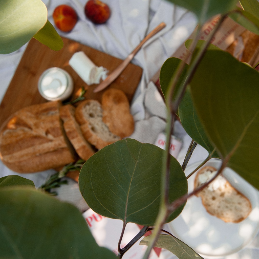 Can anyone guess who we've been picnic-ing with? 👀

Stay tuned this July for some fun with us and our picnic pals!