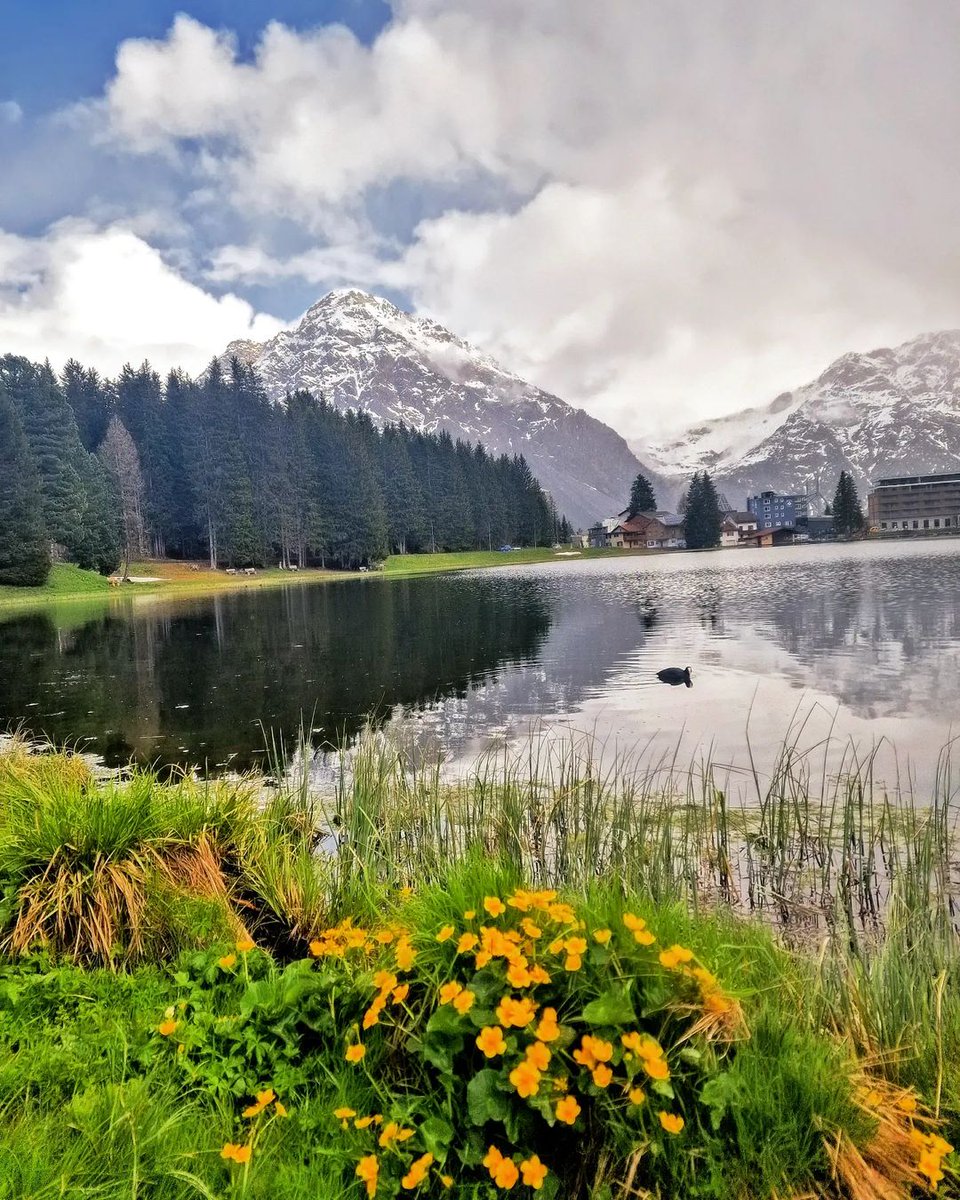 Shimmering Alpine lakes and bright green valleys - this is Graubunden 🇨🇭

📸: @silvana_d_68 

#arosa #Switzerland #swiss #swisstravel
#europe #nature #naturephotography #graubunden #visitgraubunden #scenery #alpinelakes #swissalps