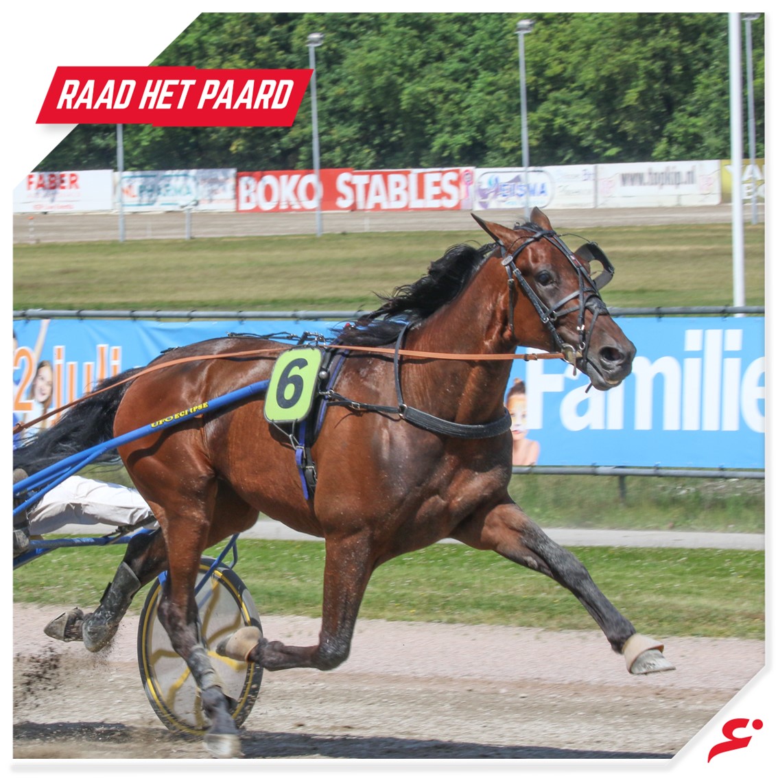 𝐑𝐚𝐚𝐝 𝐡𝐞𝐭 𝐩𝐚𝐚𝐫𝐝🤔
Deze ruin heeft de zelfde naam als de schilder van de 'Victory Boogie Woogie'. Weet je welk paard we zoeken deze week? Laat het weten in de reacties.