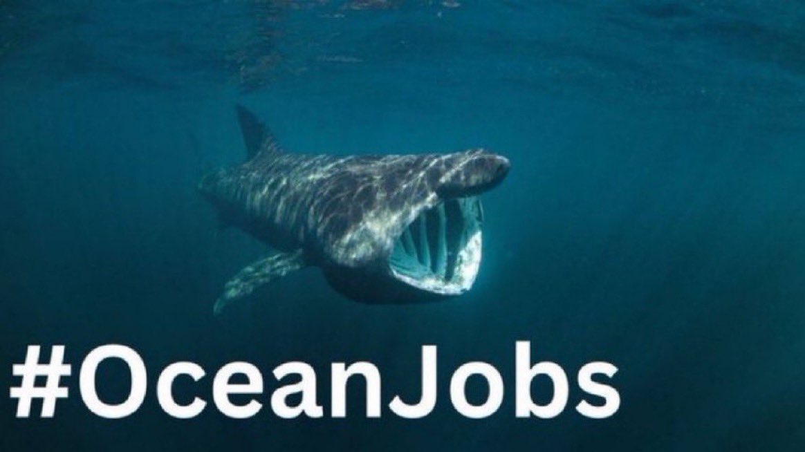 New Ocean and Coastal Job Opportunities listed every week 

Find pages of new jobs here 👉cmscoms.com/?cat=35 

Sign up for our regular direct email job alerts here 👉bit.ly/3MiyV7i 

#MarineJobs #OceanJobs #OceanCareers #CoastJobs #OceanJob #ConservationJobs