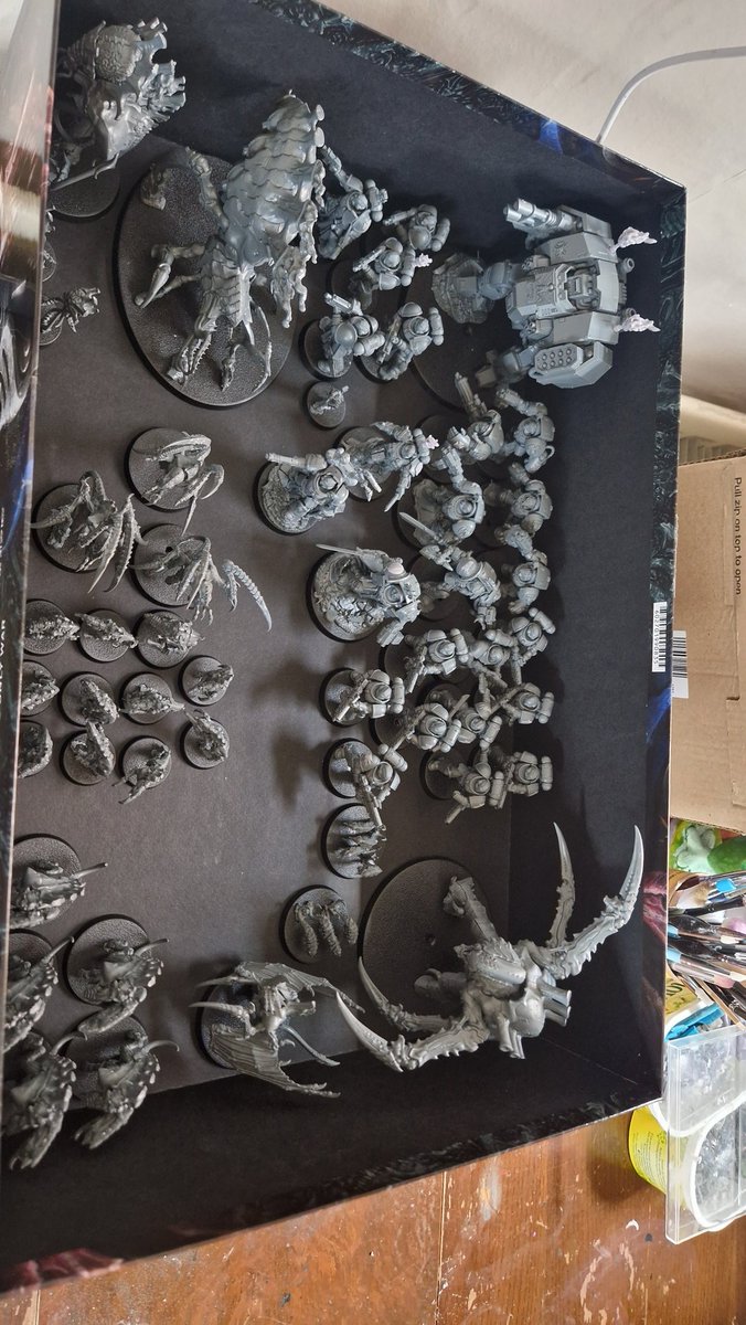 StevenAkinlade's tweet photo. Salamanders arrived for the fight https://t.co/N1tckaHJHt