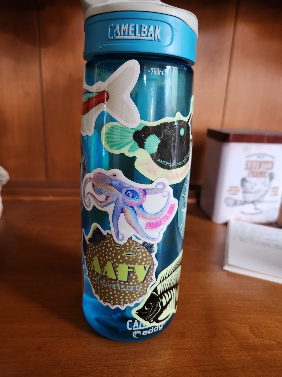 fishvets's tweet photo. Whoa, check out what folks have done with their AAFV stickers! What are your AAFV stickers decorating? Share in the comments below! 📸
Need some stickers of your own? Visit https://t.co/GhsmfCqabd to claim some for yourself! 🐡 https://t.co/za8CLiIIjj