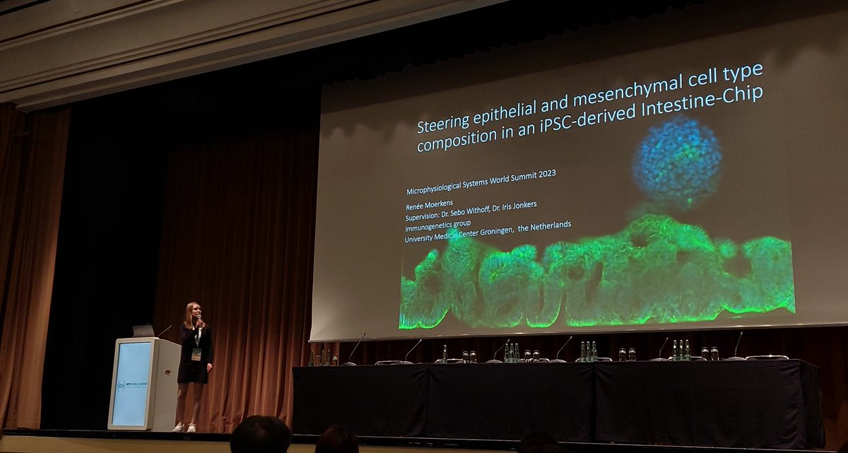 KJuusitalo's tweet photo. In 🔥 after presentations by @MoerkensRenee and @JoramMooiweer about #celiac #smallintestinal #MPS models in #MPS2023 @MPSWorldSummit.
Hoping🙏 to see these fantastic @JonkersIris lab data soon in form of publication. https://t.co/JwQwmB7Pui