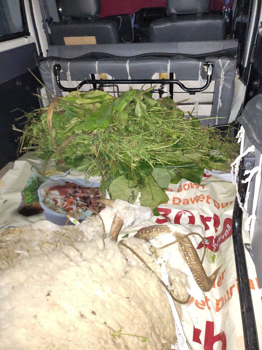 Hidup elite
Kurban syulit
Cuhhh