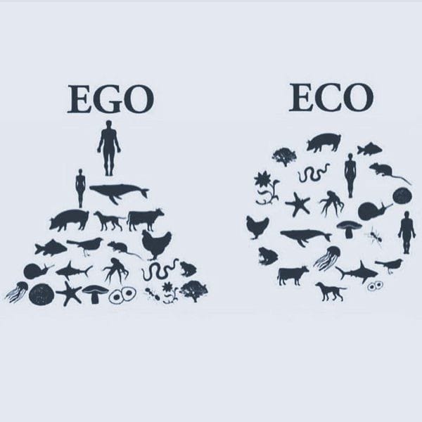TruthSe22449608's tweet photo. #StopAnimalSacrifice
#DeleteSection28
#GoVegan
@veganfirstdaily @PetaIndia
@pfaindia @Prashant_Advait @Advait_Prashant https://t.co/EdVZkDs51r