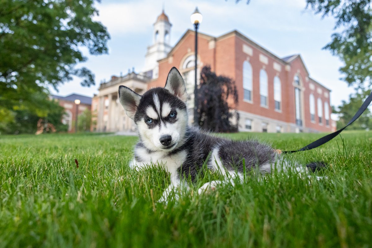 UConn's tweet photo. Jonathan XV is already making himself at home! https://t.co/A7IiPwgQkA
