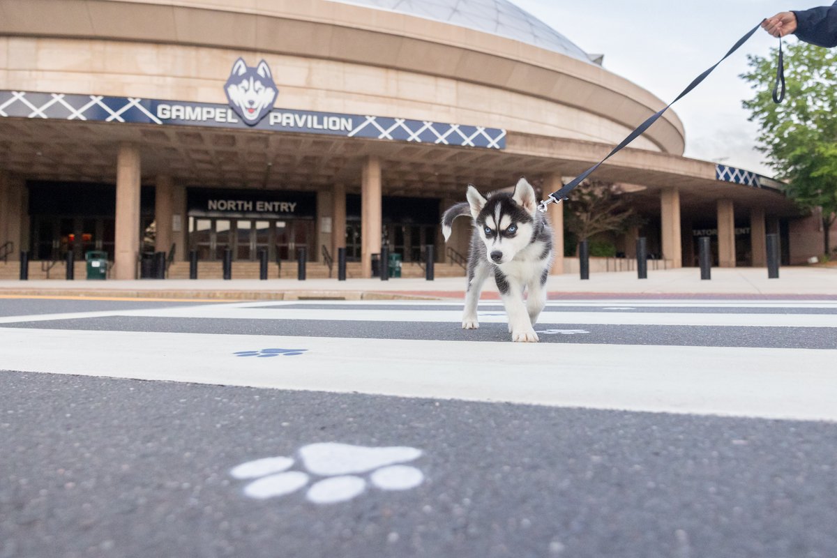 UConn's tweet photo. Jonathan XV is already making himself at home! https://t.co/A7IiPwgQkA