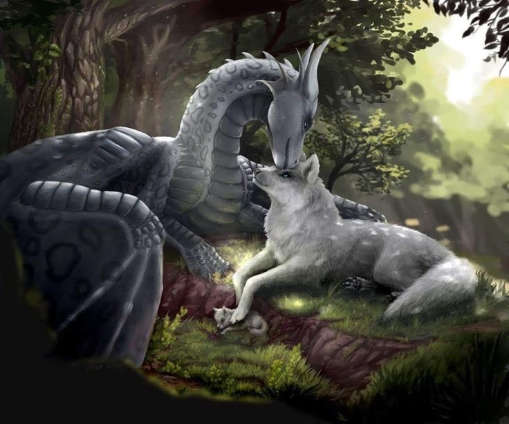 The Dragon and her Wolf

#WolfWednesday