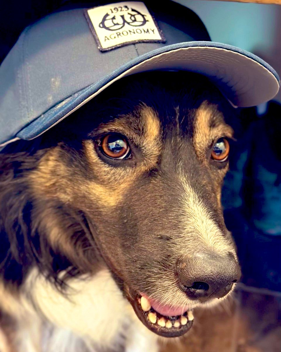 This is the start to our staff series: It's important to highlight the hardworking men and women that make Walla Walla Country Club so special. Naturally, we started with DASH! 
Stay tuned as you'll see some familiar faces and meet some new ones.