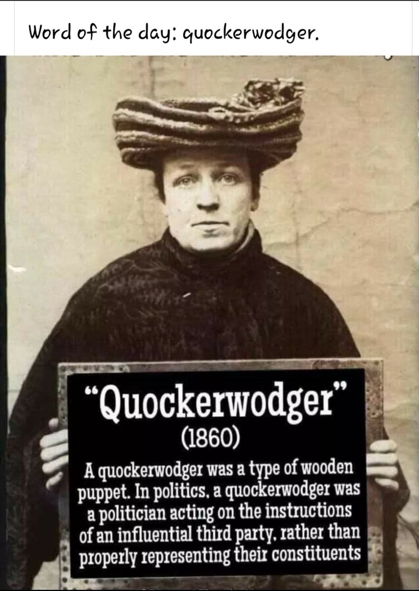 Word of the day: quockerwodger